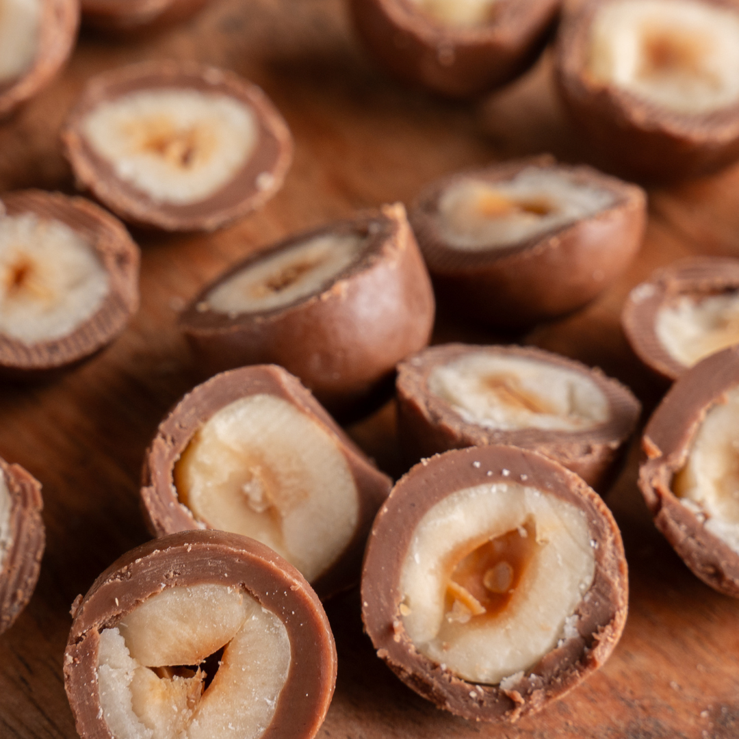 Gourmet hazelnuts wrapped in chocolate