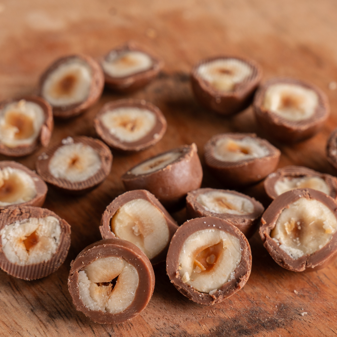 Premium hazelnut chocolates for nut lovers
